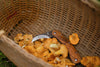 Brusletto - Vedalen Mushroom kniv Jagtknive Brusletto 