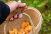 Brusletto - Vedalen Mushroom kniv Jagtknive Brusletto 
