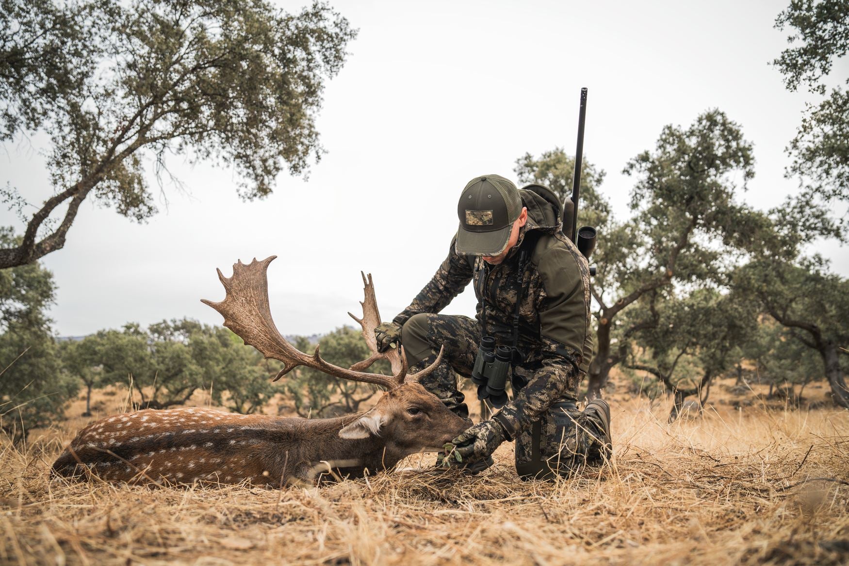 Seeland - Chaser Aero Camo Jakke Jagtjakke / Outdoor jakke / Jagttøj Seeland 